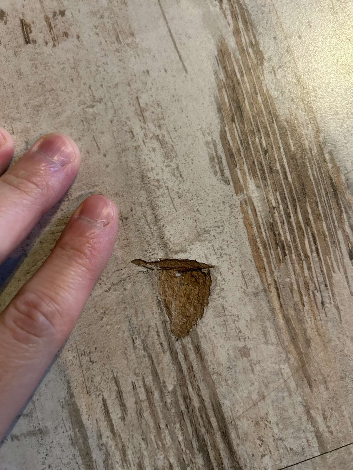 Пошкоджені дошки